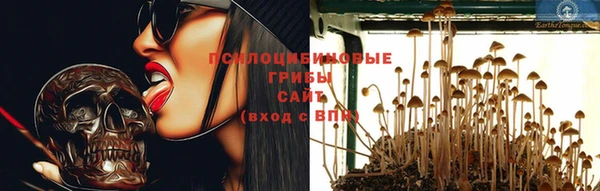 дмт Лабытнанги