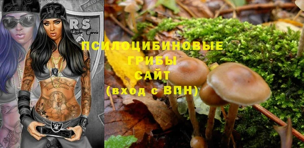 дмт Лабытнанги