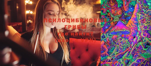 дмт Лабытнанги