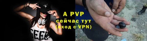 дмт Лабытнанги
