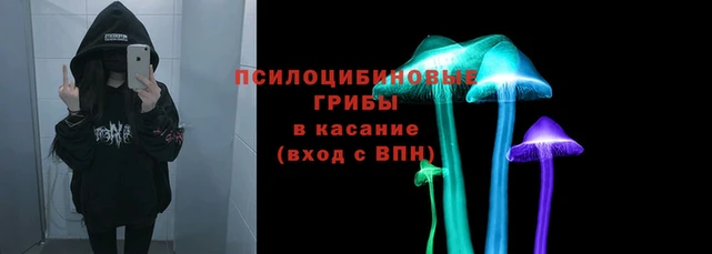 дмт Лабытнанги