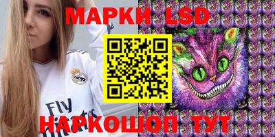 стаф Кимры