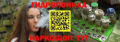 стаф Кимры