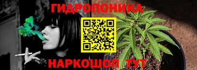 мяу мяу мука Кинель