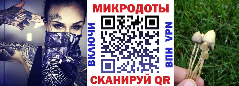 Псилоцибиновые грибы прущие грибы  площадка Telegram  Хабаровск  где купить наркоту 