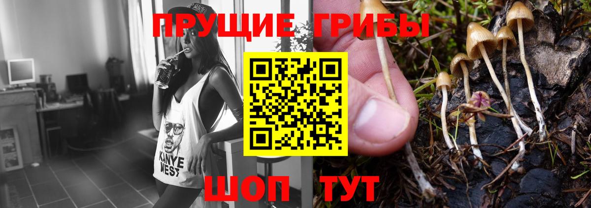 Псилоцибиновые грибы мухоморы Хабаровск